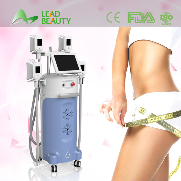 Buy cheap cryolipolysis cooling body sculpting fat freezing slimming machine from wholesalers