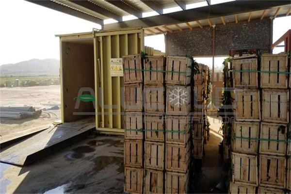 Vegetables Vacuum Cooling Machine Fresh Produce Industry For Champignon /