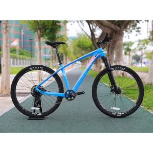 Buy cheap 29 Inch MTB Carbon Fibre Mountain Bike With YBN S12S Chain And 160mm Brake Disc Pads from wholesalers
