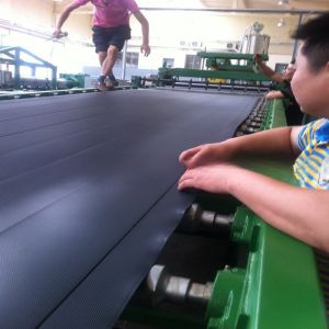 Energy Saving PP PE ABS Sheet/Board Production Line with Deep Screw Structure