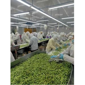 Buy cheap Nutritious Frozen Edamame Beans With No Rusty Spot from wholesalers