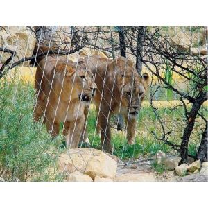 Stainless Steel Lion Enclosure Wire Rope Mesh-lion wire mesh