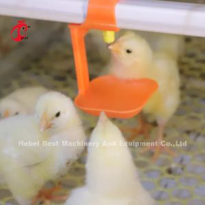 Buy cheap Baby Chick 2.5mm Brooder Cage Automatic Rearing System Rose from wholesalers