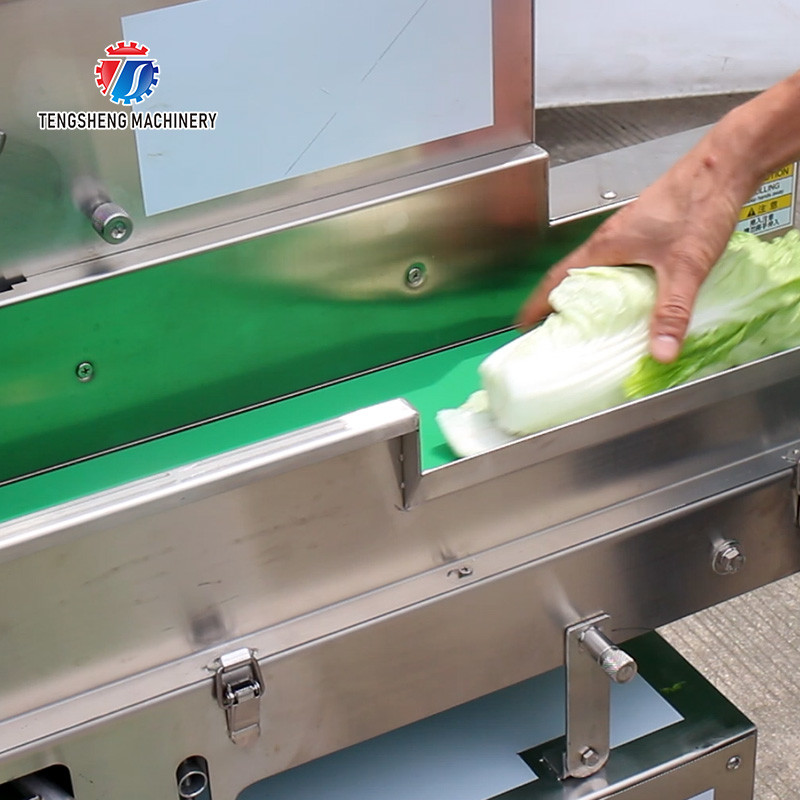Buy cheap 180KG Multifunctional vegetable cutting machine commercial leaf vegetable root slicing and sectioning machine from wholesalers