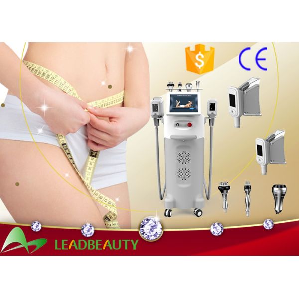 Quality 5 cryo handles cryolipolysis cavitation rf slimming machine cool tech shape fat freezing lipo machine for sale