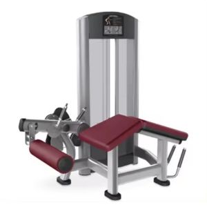 Buy cheap Steel Pin-Loaded Adjustable Seated Leg Press Machine and Prone Leg Curl Dual-Function Gym Equipment Medium Loader from wholesalers