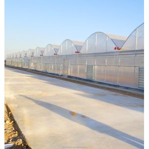 Buy cheap 8m Span Width Multi Span Agricultural Commercial Tomato Greenhouse with Cooling System from wholesalers