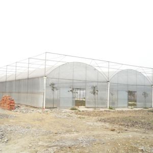 Buy cheap Inner Shading System Side Ventilation Multi Span Greenhouse Automatic Control from wholesalers