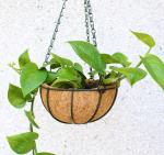 Buy cheap Garden Decoration Metal Hanging Planter Basket With Coco Coir Coco Liner from wholesalers
