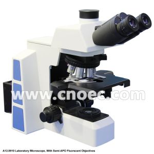 APO Trinocular Compound Optical Microscope with Halogen Lamp Illumination