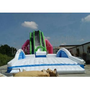 Buy cheap Custom Exciting Flying Water Slide Inflatable PVC With Blower from wholesalers