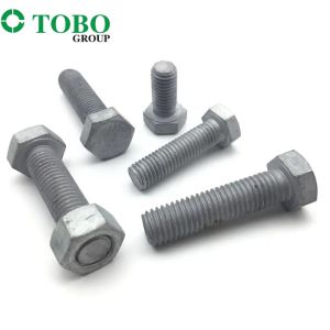 Polish Finish Stainless Steel Bolts with Thread Pitch 1 Option
