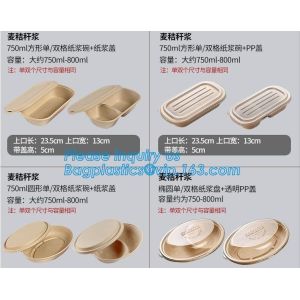 Biodegradable Microwave Bamboo Sugarcane Bagasse Food Container,Eco friendly