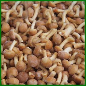 Buy cheap Frozen Pholiota Nameko Mushroon Whole from wholesalers