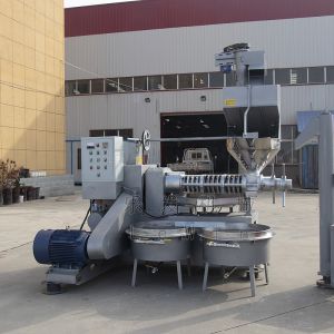 Buy cheap Automatic Cooking Oil Processing Machine Cold Oil Extraction Device from wholesalers