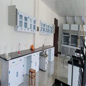 Buy cheap Durable Chemistry Lab Furniture Customizable and Long Lasting from wholesalers
