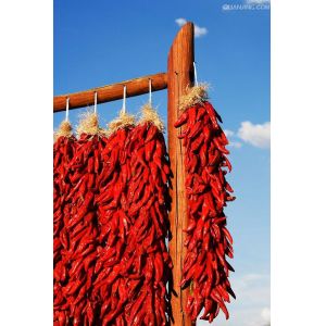Buy cheap 20000SHU Sanying Tianjin Red Chilies HACCP KOSHER Certificate from wholesalers