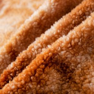 Special Dyeing Teddy Fabric for Garment/Sofa in Medium Weight 100% Polyester