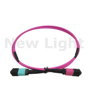 Buy cheap 1 m   MTP  -   MTP male / female MPO MTP cable multi mode OM4 optical fiber patch cord from wholesalers