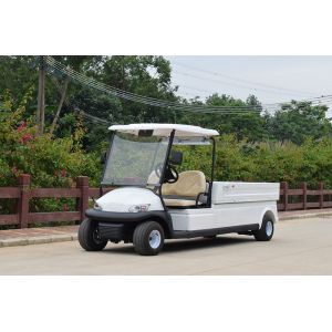 Buy cheap Outdoor Two Seater Electric Golf Carts With Utility Cargo  Curtis 350A Controller from wholesalers