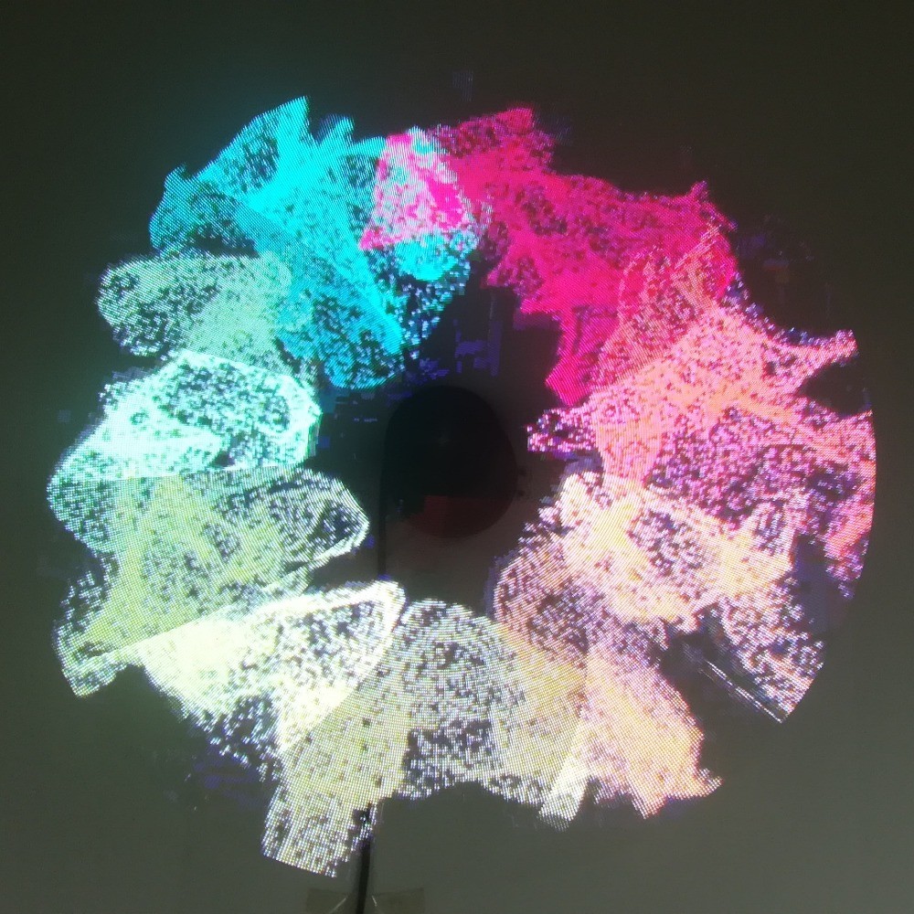 ROHS 3D Holographic Displays Hypervenom New Hologram Solution Video Player
