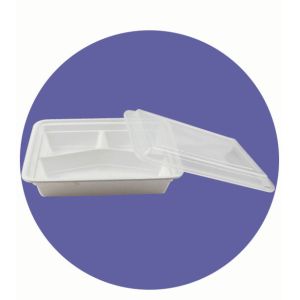 Buy cheap DISPOSABLE PLASTIC COMPARTMENT BOX, LUNCH BOX, GOOD QUALITY, from wholesalers