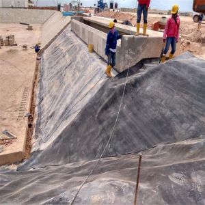 Double Smooth Surface LDPE Geomembrane Lining Pond Liner for Superior Water