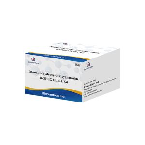 Buy cheap Sandwich 8-OHdG ELISA Kit Mouse 8-Hydroxydeoxyguanosine Test Kit from wholesalers
