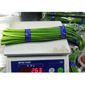 Buy cheap 55cm Long Chinese Garlic Growing Sprouts from wholesalers