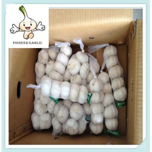 Buy cheap 2016 Cold Storage Fresh Red Garlic , fresh bulk package garlic of China from wholesalers