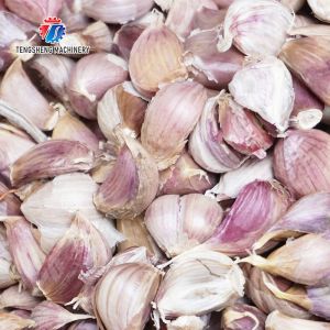 Buy cheap Garlic splitting machine minced garlic processing production Line from wholesalers