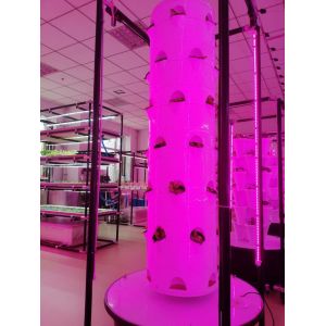 New Vertical Hydroponic Cultivation System For Vegetables And Strawberries With