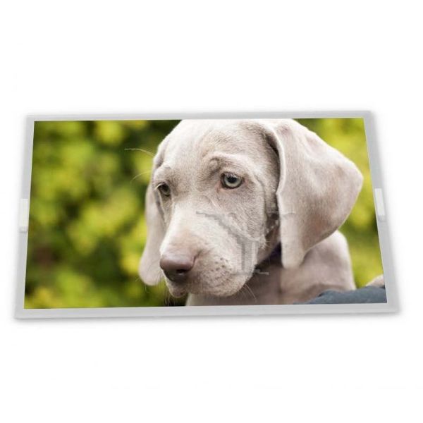 Buy cheap stock Customizable 15.0-Inch WLED LCD Display Module 1024*768 Resolution Model LQ150X1DG11 Compatible LCD Modules from wholesalers