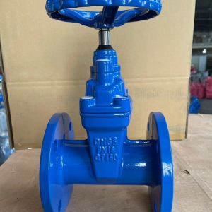 China OEM Support CI/DI/WCB/SS Lockable Forged Gate Valve with Customized Design on sale