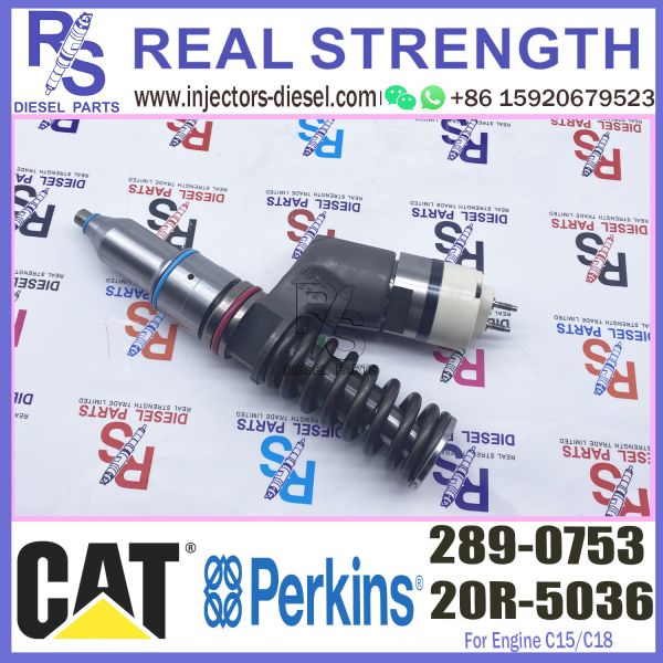 Diesel Engine Injector 289-0753 20R-5036 For Caterpillar C15/C18 Common Rail