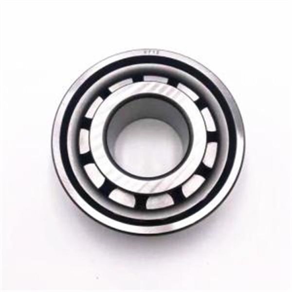 SL04 5010 PP Cylinder Roller Bearing NNF 5010 ADB-2LSV