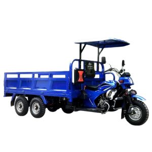 Buy cheap DAYANG 300cc Five Wheels Heavy Loading Trike with Standard Size Double Rear Axle Made from wholesalers