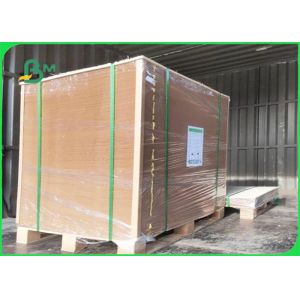 Offset Printing PE Coated Paper 300 + 15g FDA Disposable 750 / 800 / 900mm