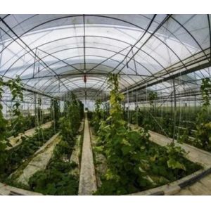 Buy cheap 2000.000kg Package Gross Weight Single-Pan Hydroponic System for Double-Arch Greenhouse from wholesalers