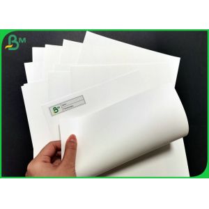 Pure White 40gsm To 120gsm Virgin Kraft Paper Reel for Packaging sacks