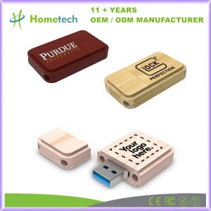 10g Wood USB Flash Drive with Fast Data Transfer and Environmentally-friendly