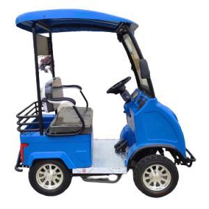 Experience Endless Adventures With A Customizable Two-Seater Golf Cart For