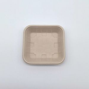 China Compostable Biodegradable Bagasse Tableware Disposable Rectangular Shape on sale