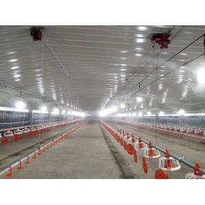 Buy cheap Galvanized Prefabricated Steel Structure Poultry House Chicken House Coop product