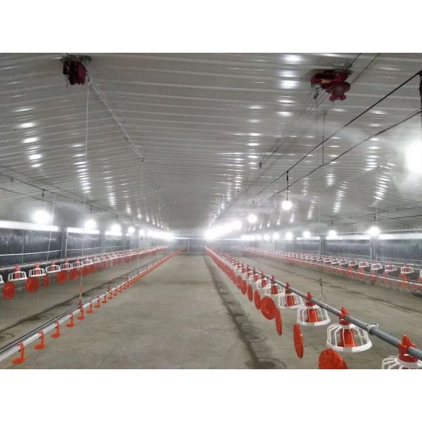 Buy cheap Galvanized Prefabricated Steel Structure Poultry House Chicken House Coop Fireproof from wholesalers