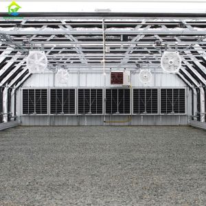 Buy cheap Greenhouse Intelligent Irrigation Fertilization System Fertilizer Dosing System from wholesalers