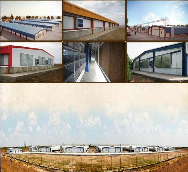 Quality Expert Poultry Solutions - Poultry Cages, Poultry Drinkers,  - NorthHusbandry Machinery for sale