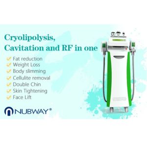 Buy cheap Non-Invasive Cryolipolysis Slimming Machine with 5 handles for whole body shaping and skin tighteing treat from wholesalers