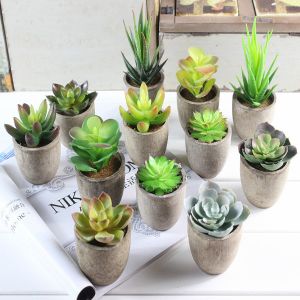 Buy cheap Mini Succulent Artificial Potted Plants Strange Shape Green Platsic Material from wholesalers