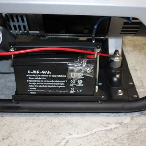 Single Cylinder 4-Stroke Air Cooled 6.5HP Generador Trade / Small 3 Phase 3000W